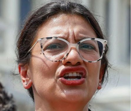 Rashida Tlaib Profile Image